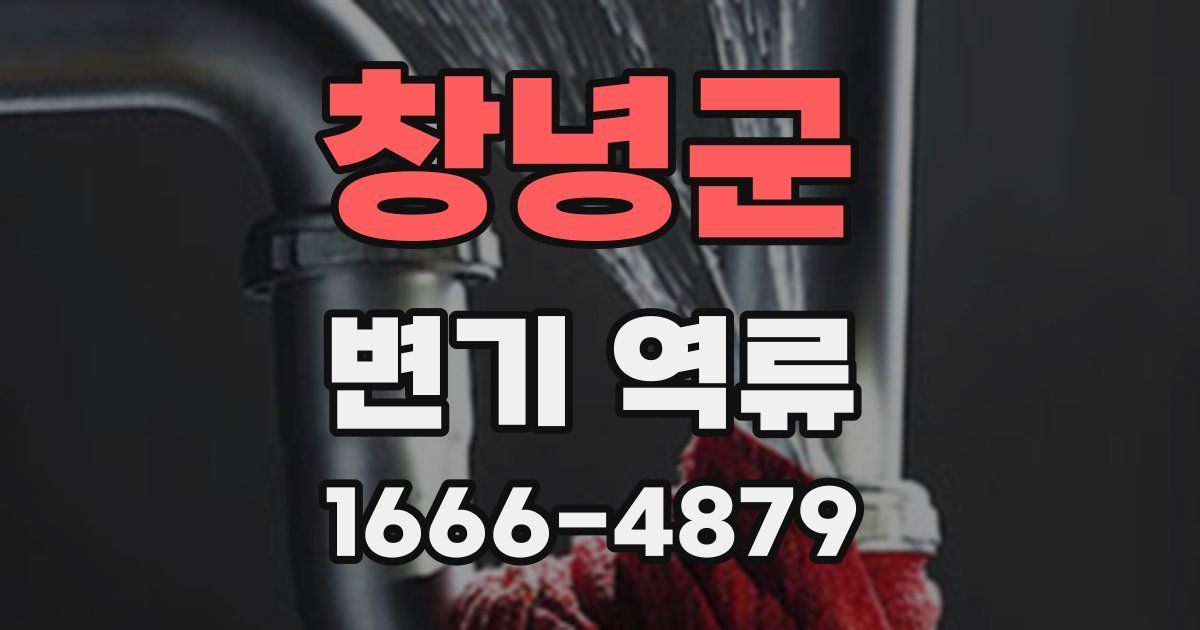 창녕군 변기 역류