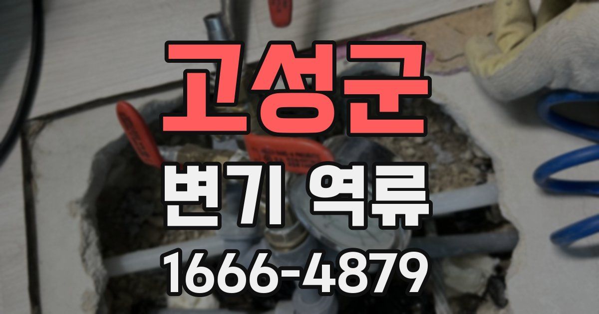 고성군 변기 역류