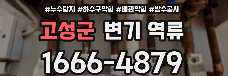 고성군 변기 역류