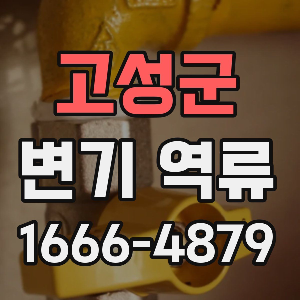 고성군 변기 역류