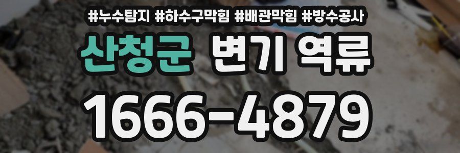 산청군 변기 역류