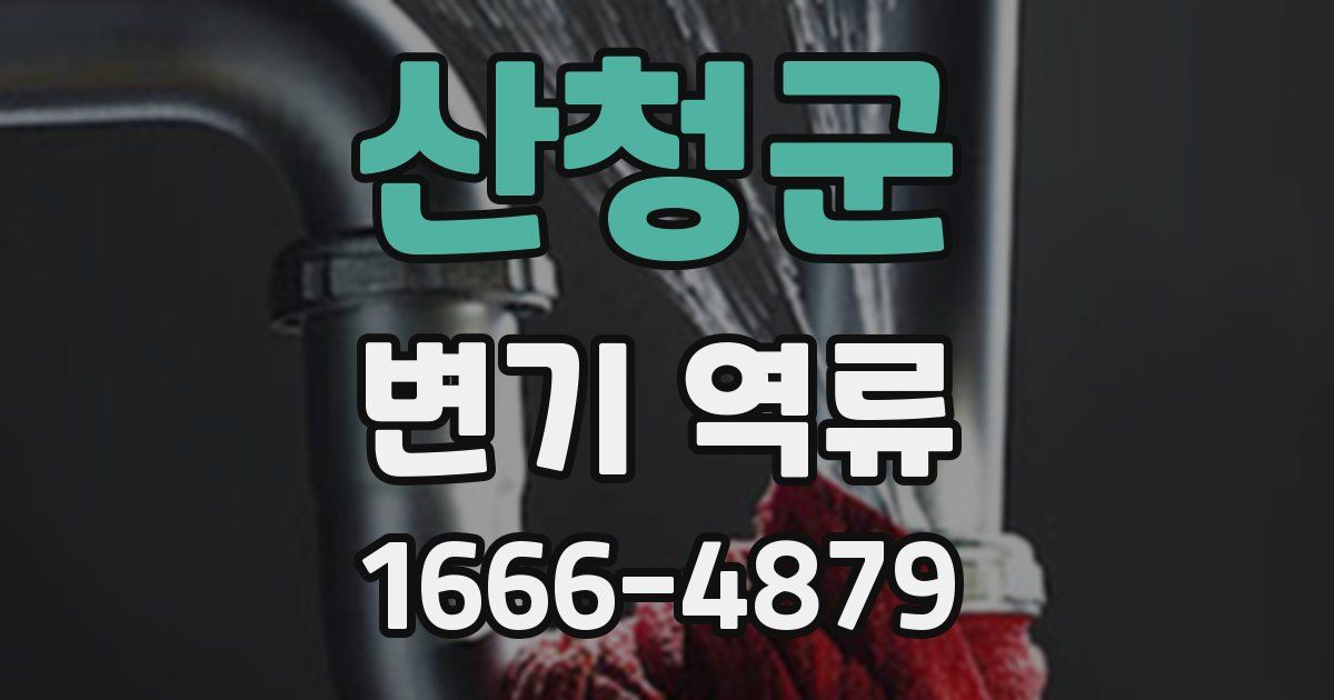 산청군 변기 역류
