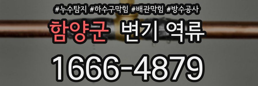 함양군 변기 역류