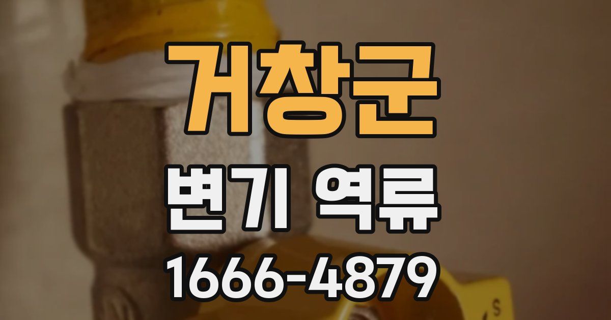 거창군 변기 역류