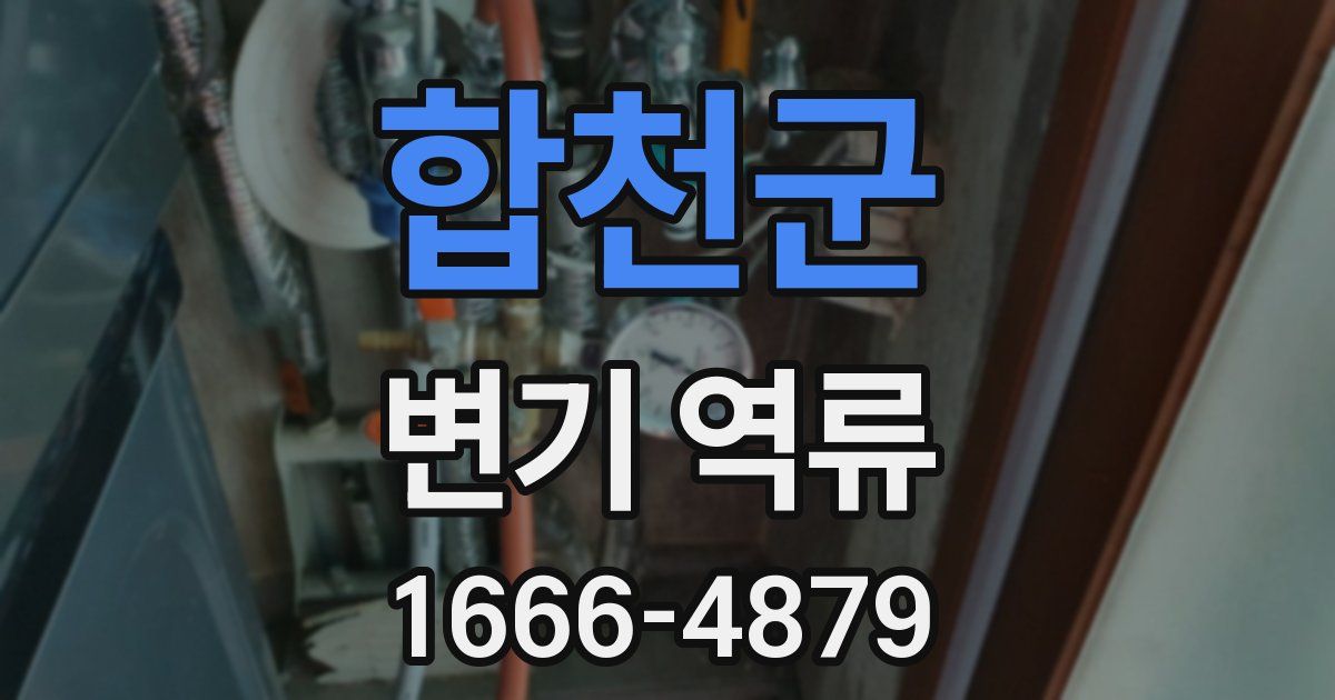 합천군 변기 역류