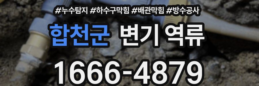 합천군 변기 역류