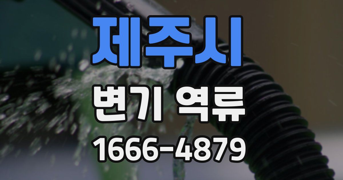 제주시 변기 역류