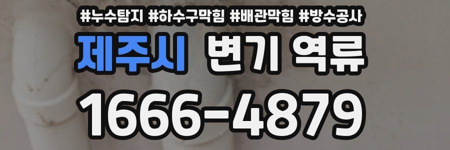제주시 변기 역류