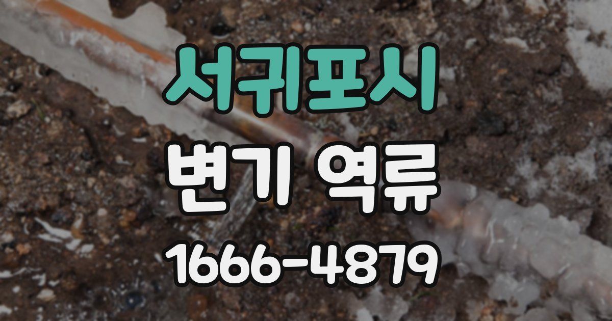 서귀포시 변기 역류