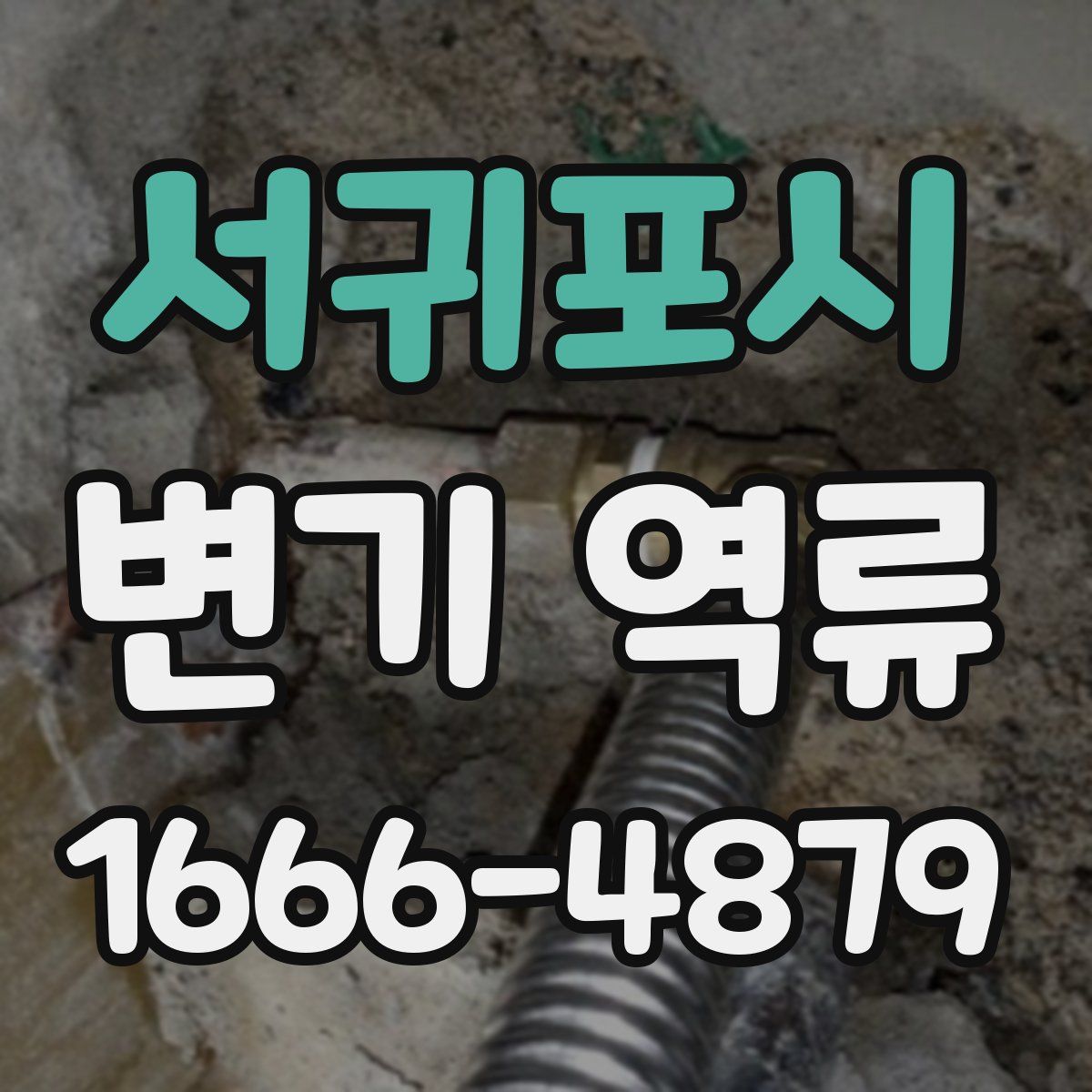 서귀포시 변기 역류