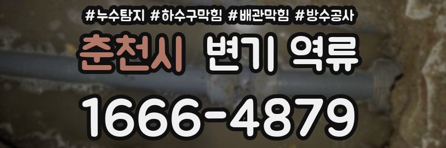 춘천시 변기 역류