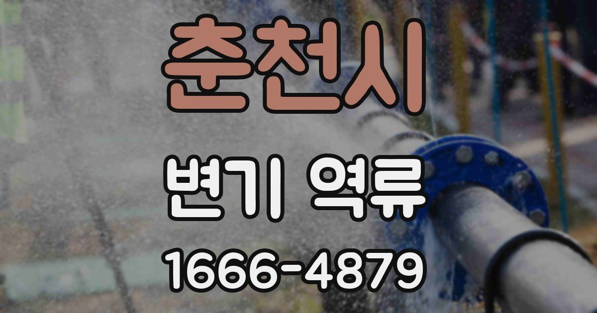 춘천시 변기 역류