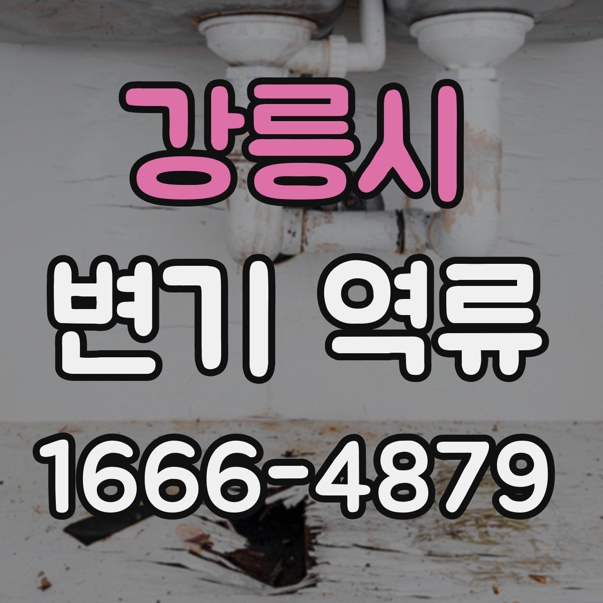 강릉시 변기 역류 아침에 유독 심할 때 살펴볼 것