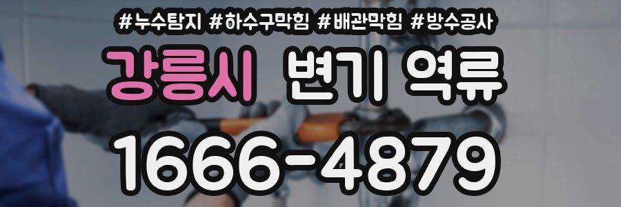 강릉시 변기 역류