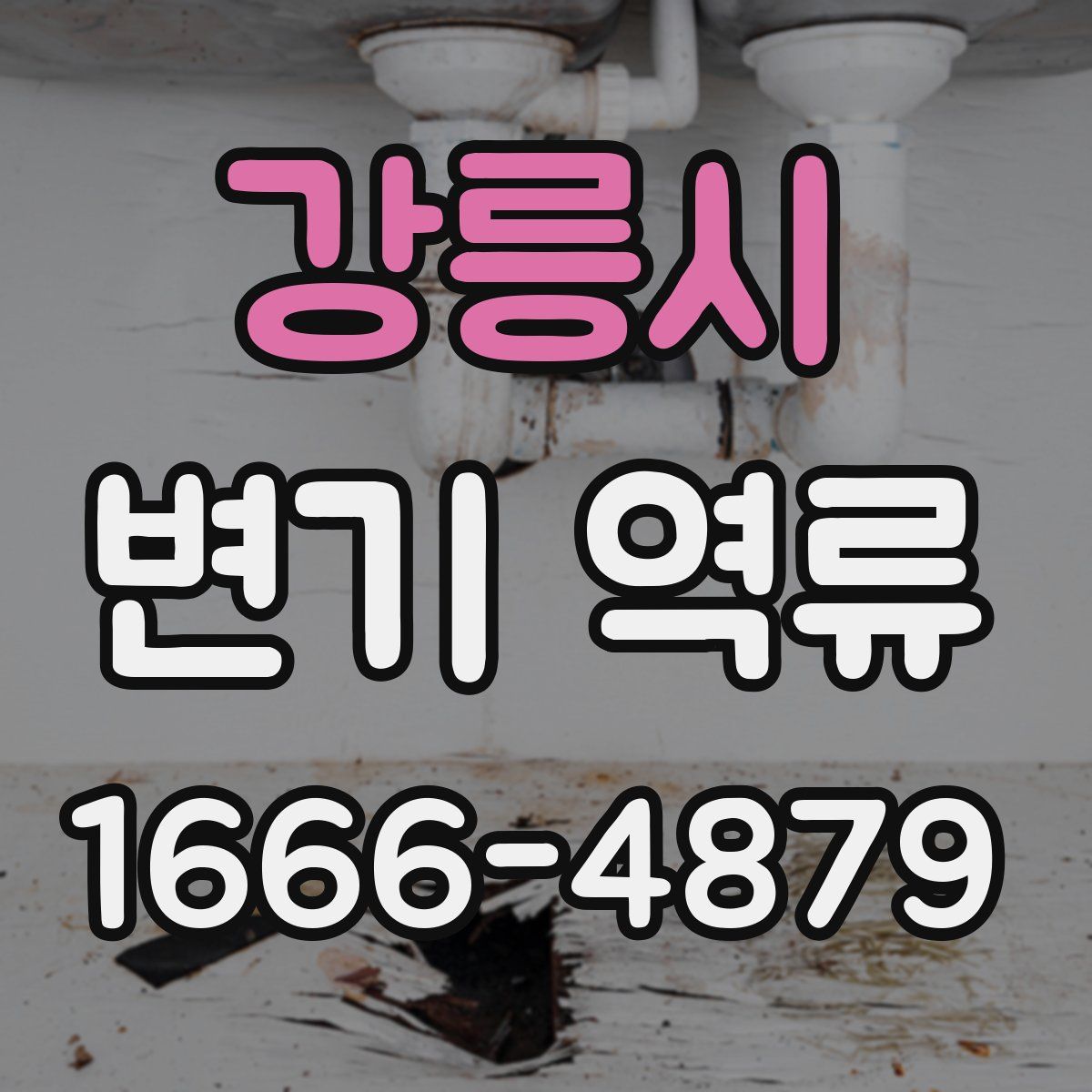 강릉시 변기 역류