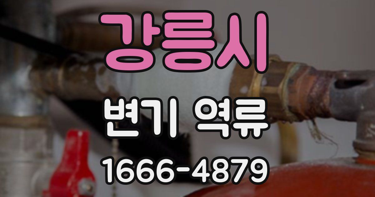강릉시 변기 역류