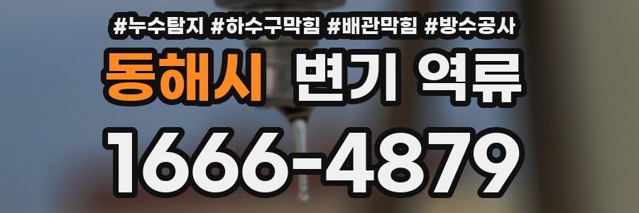 동해시 변기 역류