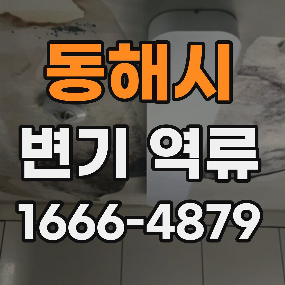 동해시 변기 역류