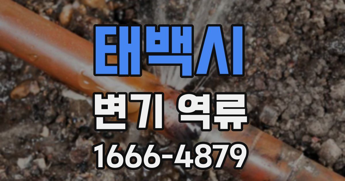 태백시 변기 역류