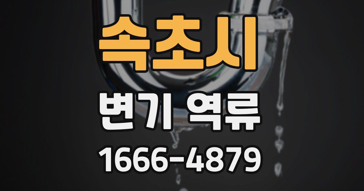 속초시 변기 역류