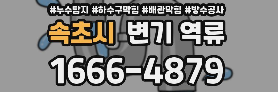 속초시 변기 역류