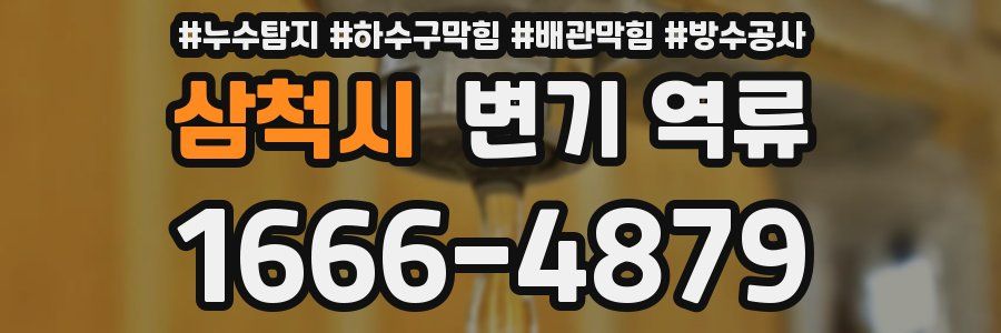 삼척시 변기 역류