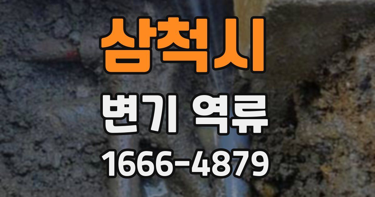 삼척시 변기 역류