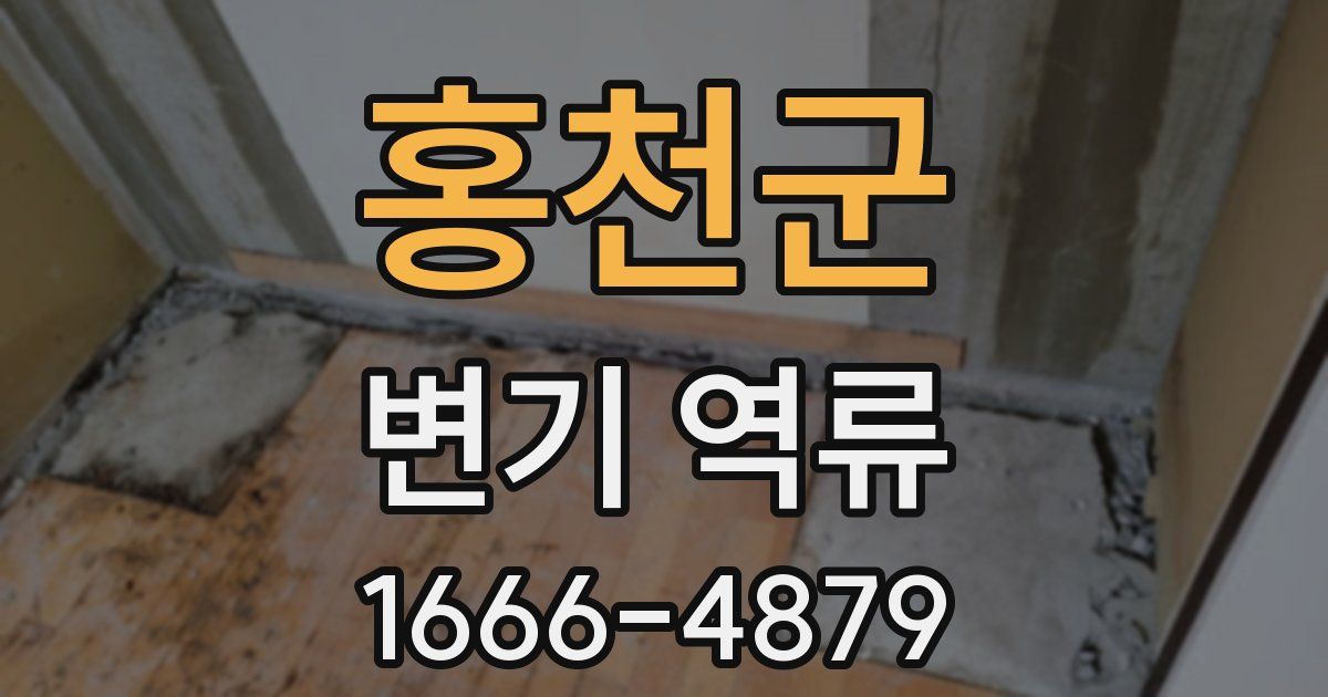 홍천군 변기 역류