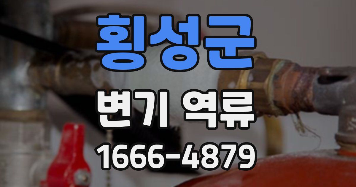 횡성군 변기 역류