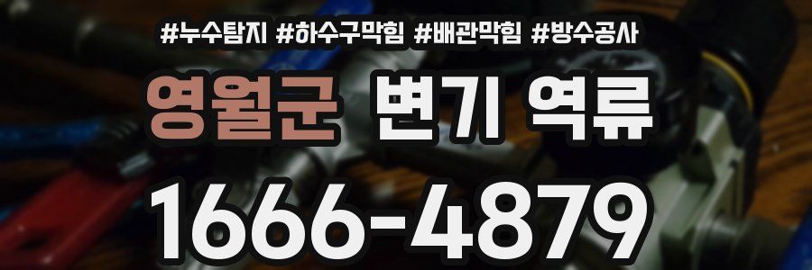 영월군 변기 역류