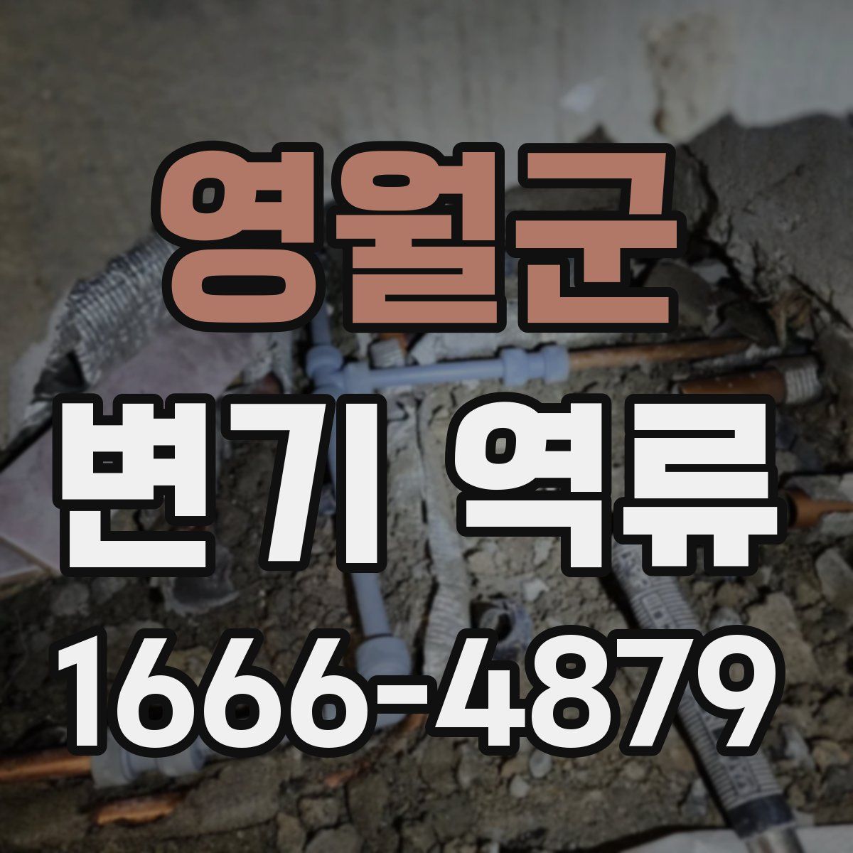 영월군 변기 역류