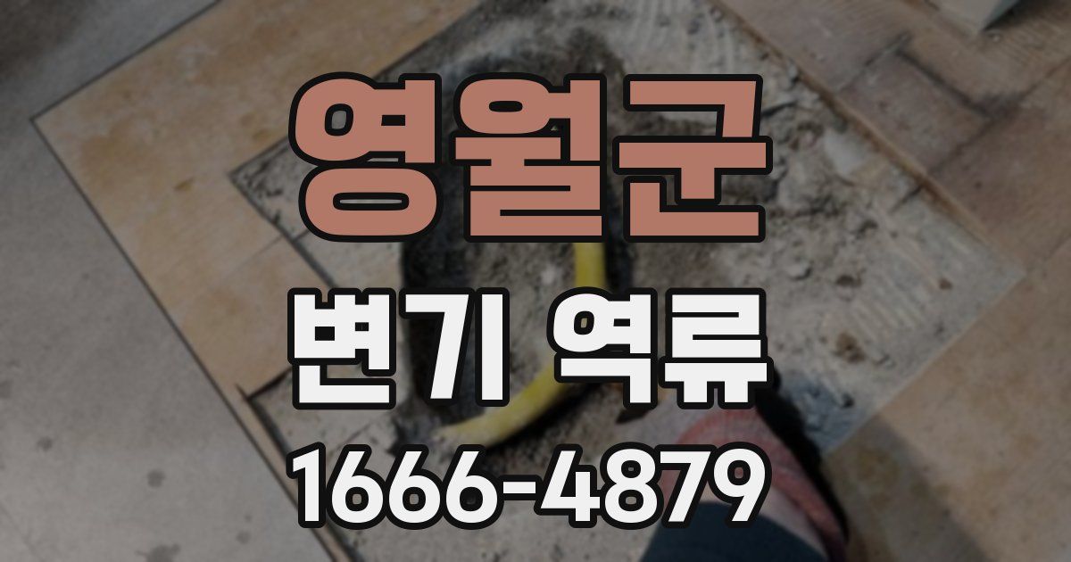 영월군 변기 역류