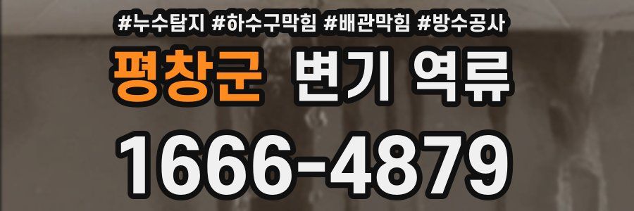 평창군 변기 역류