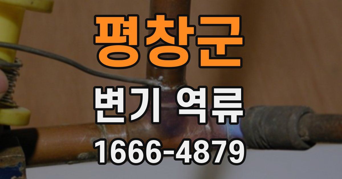 평창군 변기 역류