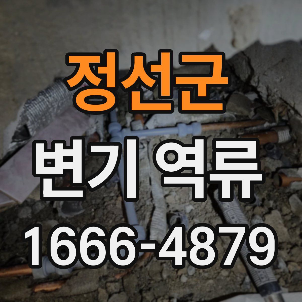 정선군 변기 역류