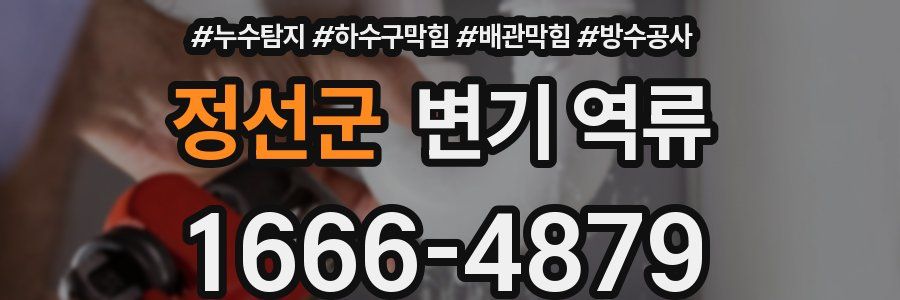 정선군 변기 역류