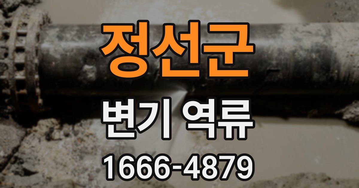 정선군 변기 역류