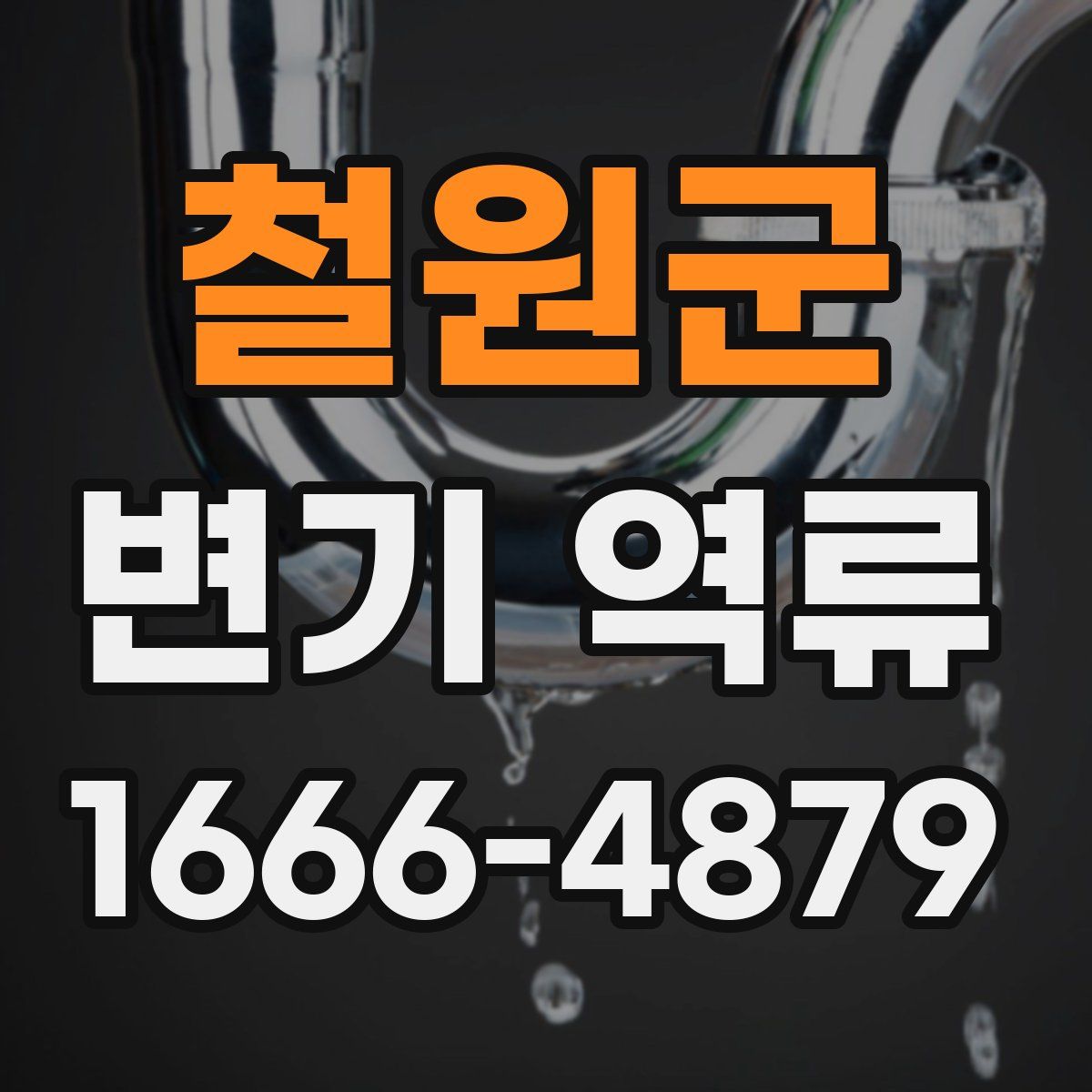철원군 변기 역류