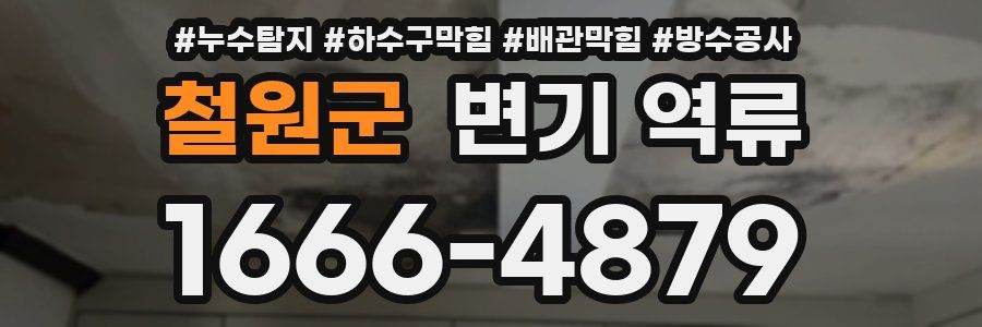 철원군 변기 역류