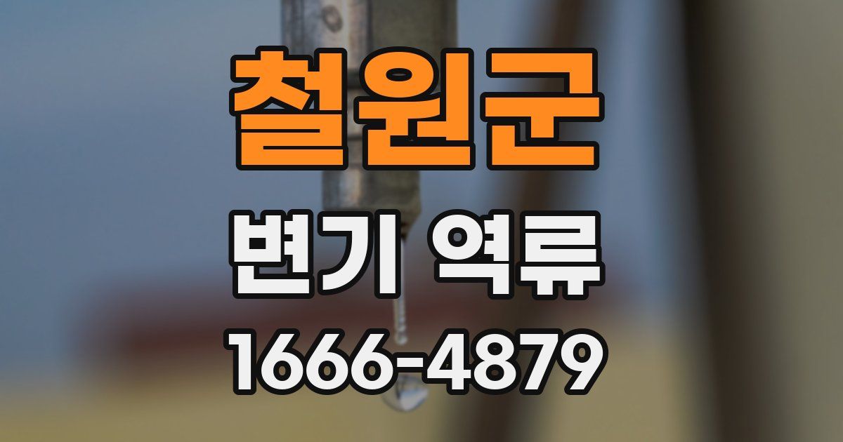 철원군 변기 역류