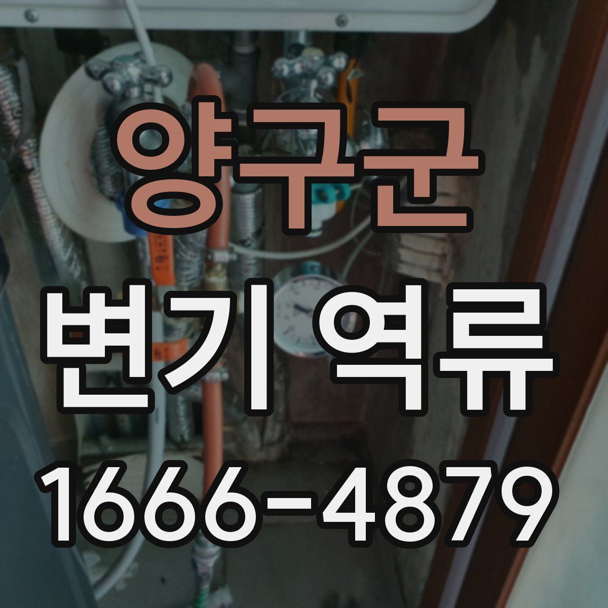 양구군 변기 역류