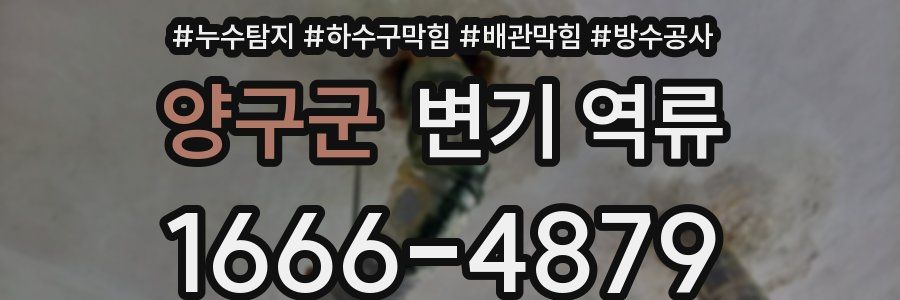 양구군 변기 역류