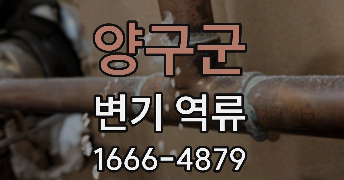 양구군 변기 역류