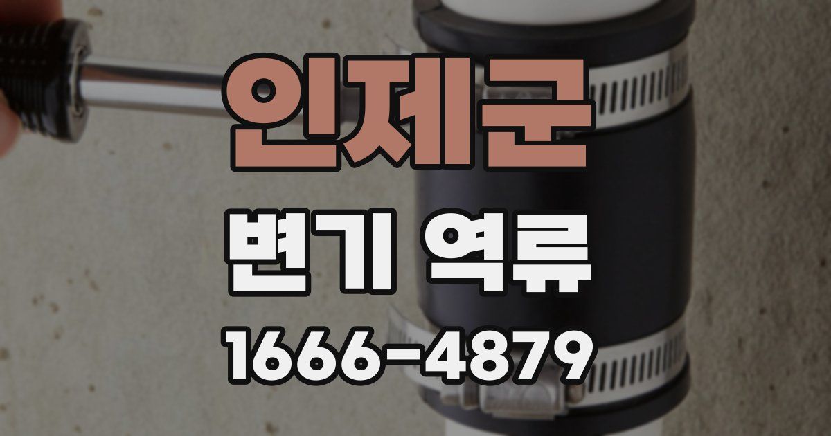 인제군 변기 역류