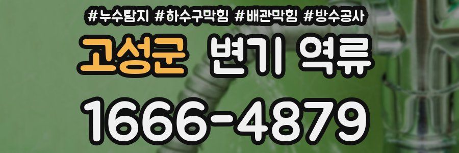 고성군 변기 역류