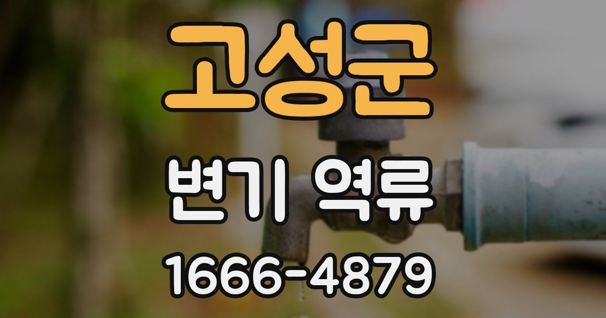 고성군 변기 역류