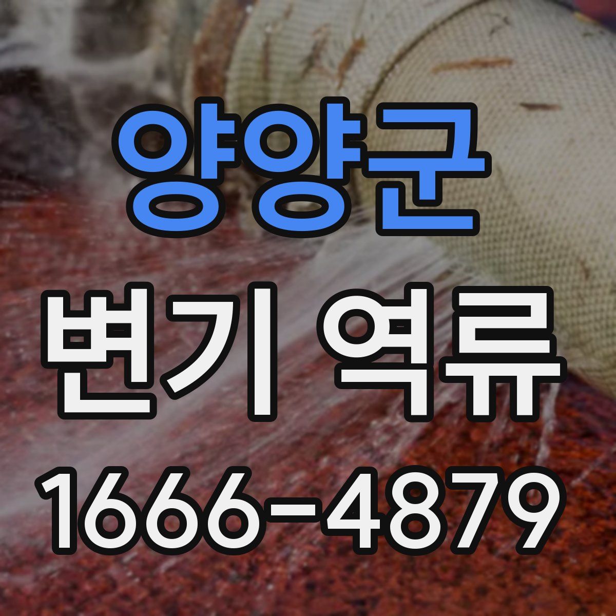 양양군 변기 역류