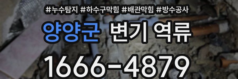 양양군 변기 역류