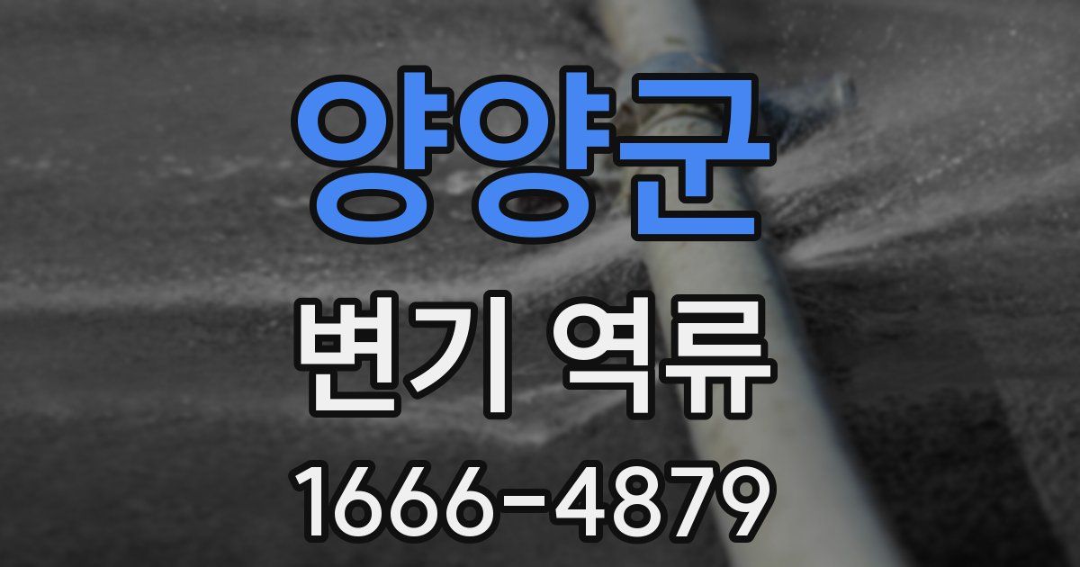 양양군 변기 역류