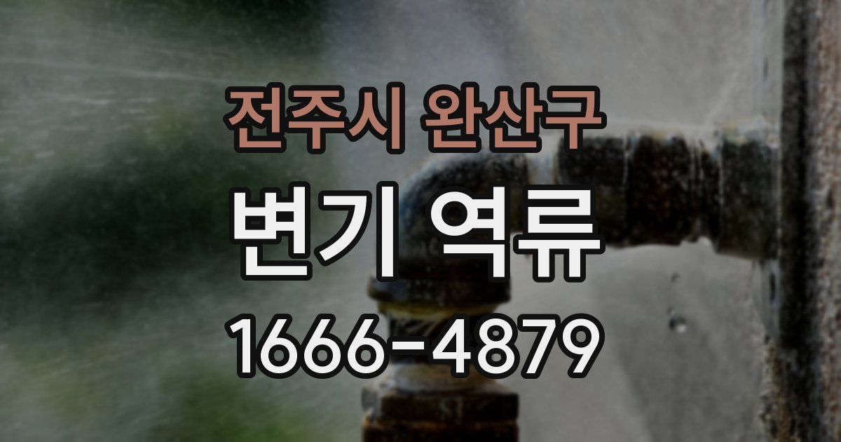 전주시 완산구 변기 역류